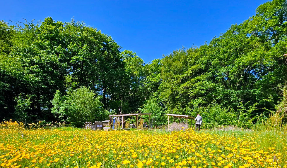 Outdoor adventures at Club Wild