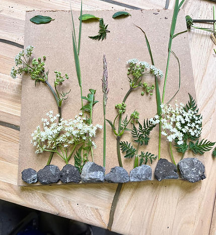 Children exploring wildlife