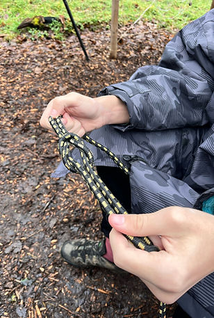 Den building adventures