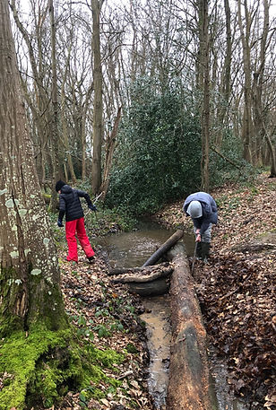 Outdoor team activities