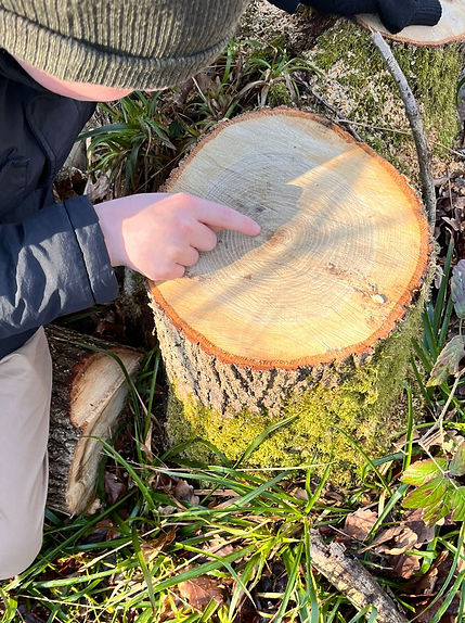 Creative outdoor activities