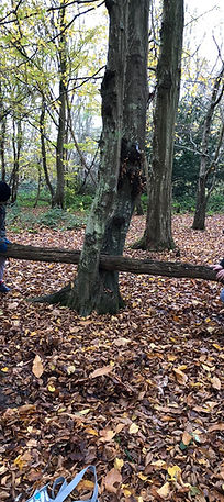 Kids learning carpentry