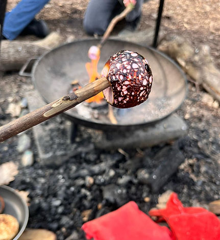 Group outdoor activities