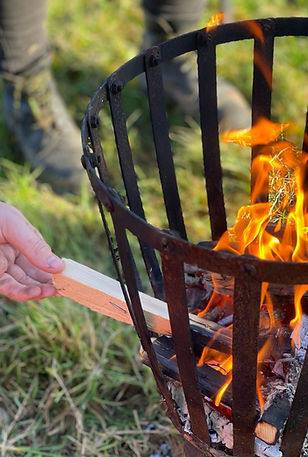 Woodland exploration